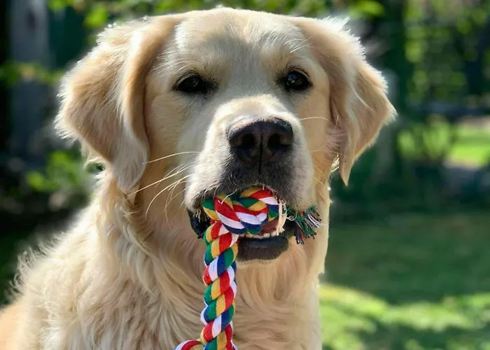 Family-friendly In The Oderbruch 아파트 Genschmar