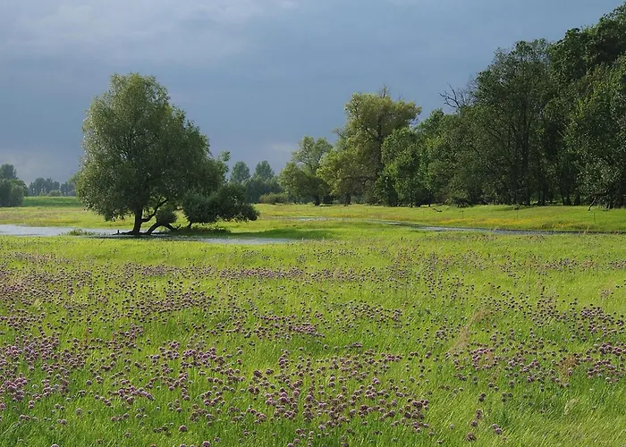 Family-friendly In The Oderbruch