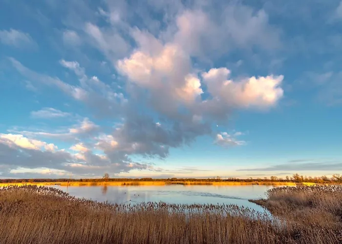아파트 Family-friendly In The Oderbruch Genschmar